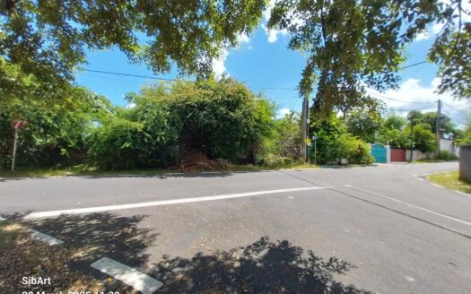 Albion – 38 P – Beachfront – FreeHold