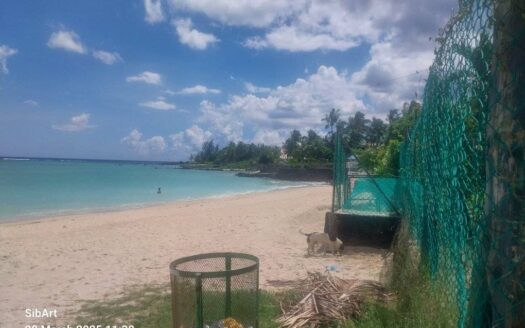 Albion – 38 P – Beachfront – FreeHold