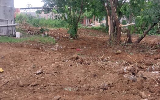 Palma , Avenue Cooperative – 10 P Residential Plot