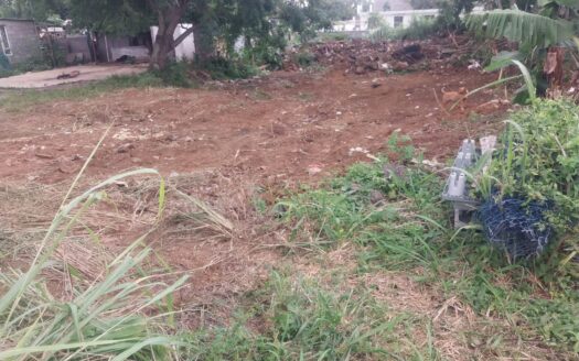 Palma , Avenue Cooperative – 10 P Residential Plot