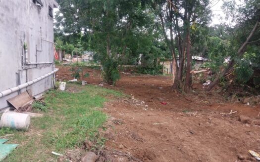 Palma , Avenue Cooperative – 10 P Residential Plot