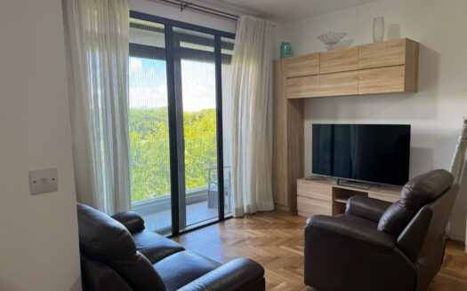 Sodnac – Parkview 2 Bedrooms Apartment