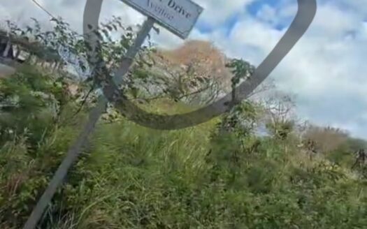Pereybere – 2 Residential plots of 85 P
