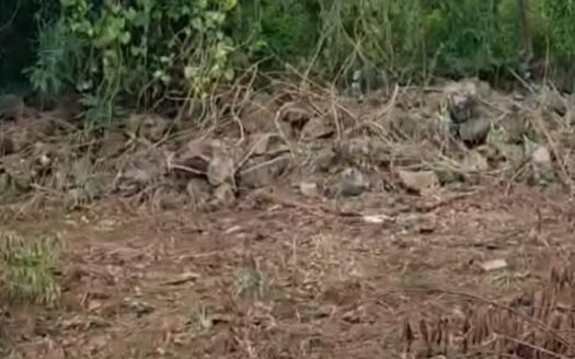 15 P Land for Sale | Brisee Verdiere | PropertyHub