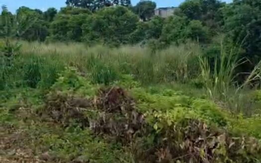 15 P Land for Sale | Brisee Verdiere | PropertyHub