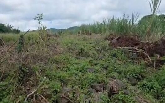 15 P Land for Sale | Brisee Verdiere | PropertyHub