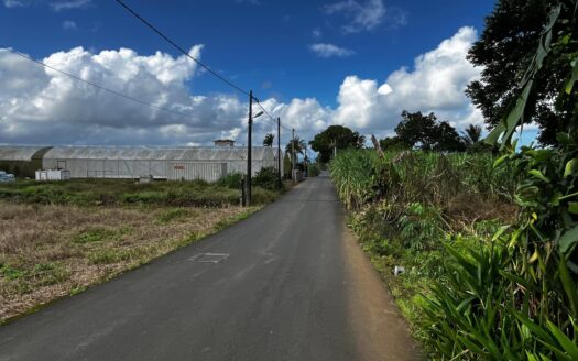 1 Acre Agricultural Land | Grand Bois | PropertyHub
